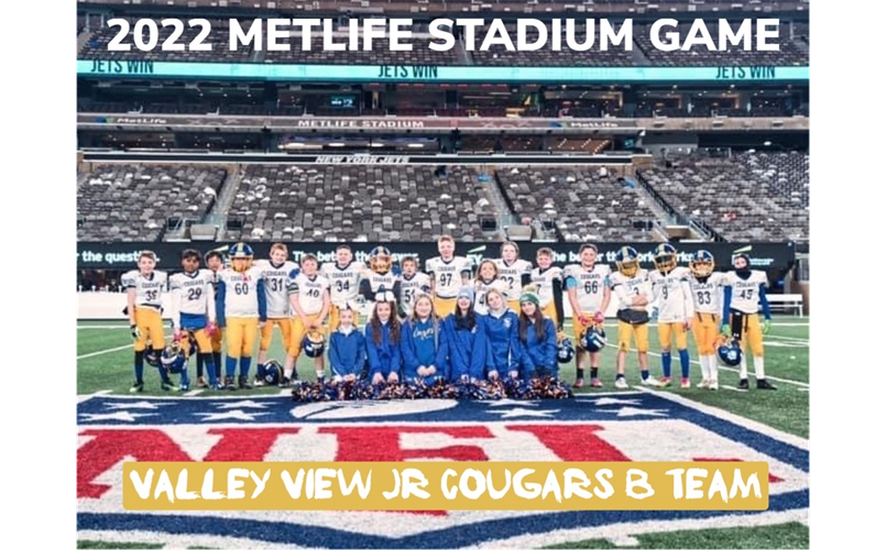 METLIFE STADIUM GAME